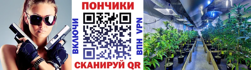 Купить наркотик Ильский Конопля  A PVP  Cocaine  ГАШИШ  Мефедрон 