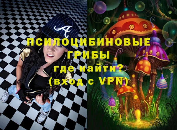 гидра Верхний Тагил
