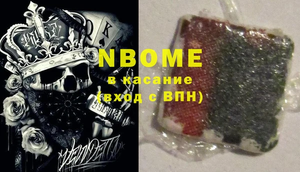 гидра Верхний Тагил