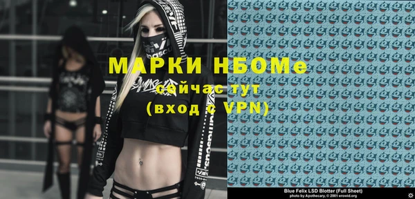 гидра Верхний Тагил