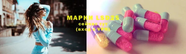 гидра Верхний Тагил
