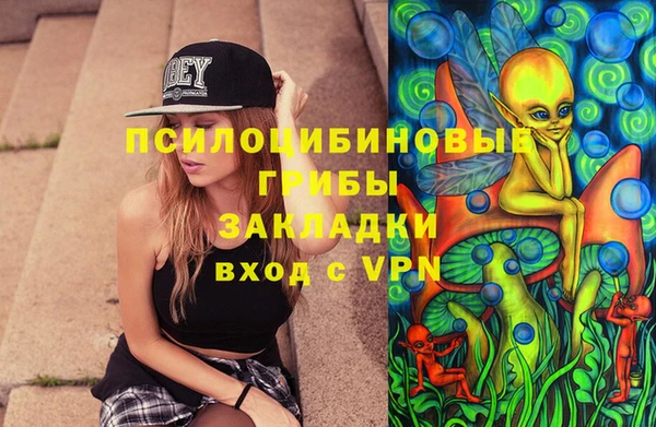 бошки Верея