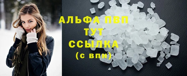 гидра Верхний Тагил
