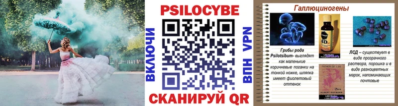 Галлюциногенные грибы Psilocybine cubensis  Ильский 